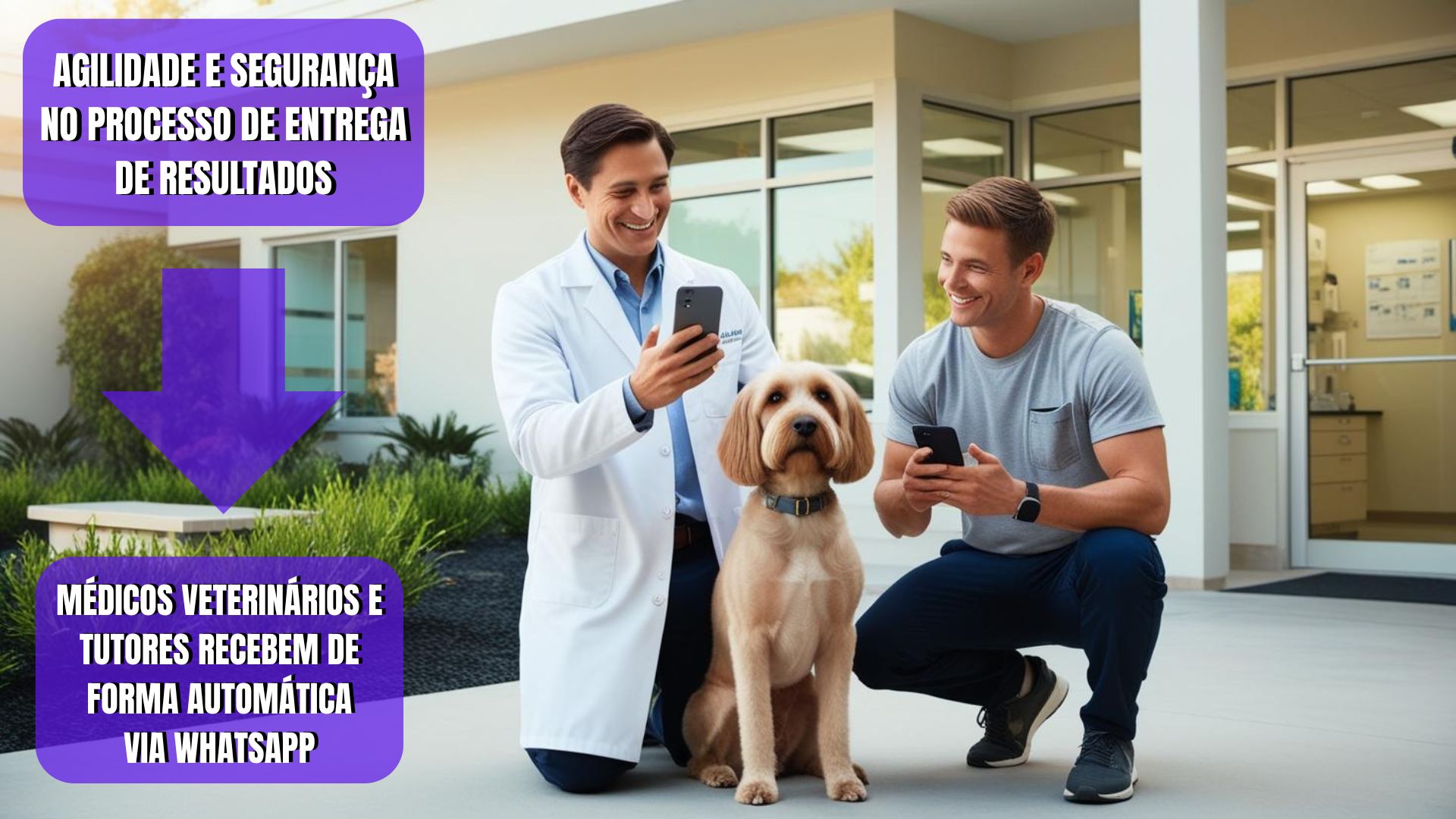 auth-two-steps-cover